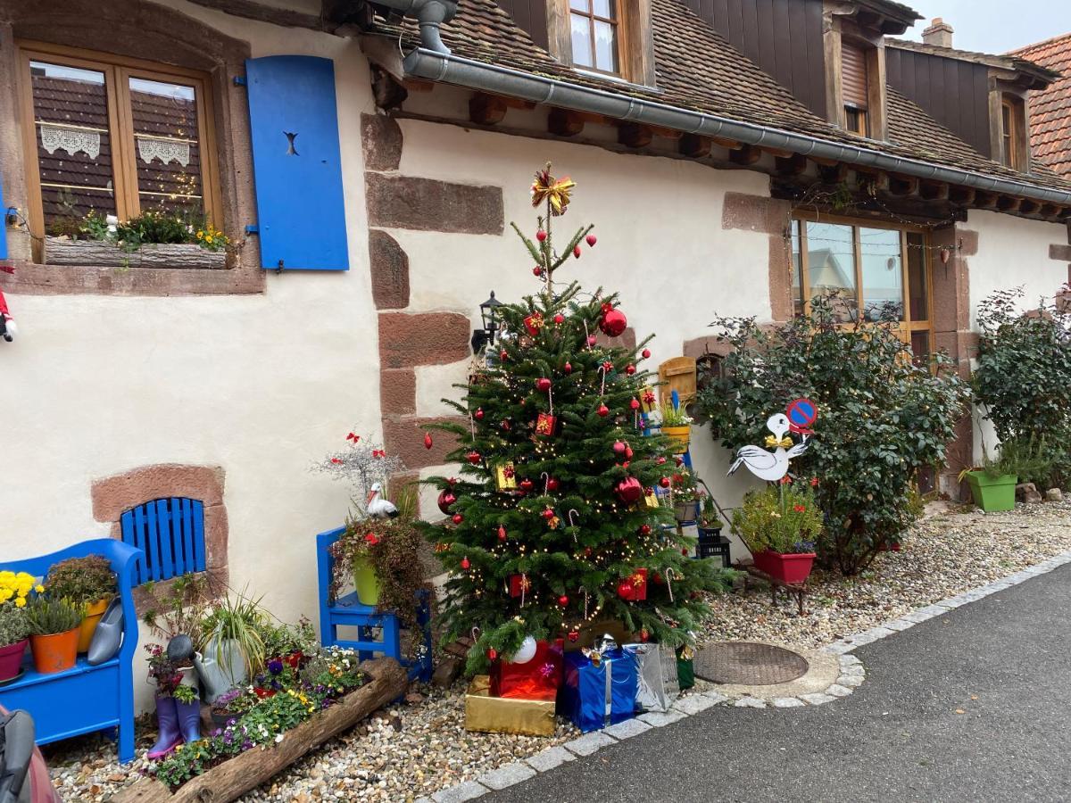 Hotel Le Nid De Cigognes Hengwiller Exterior foto